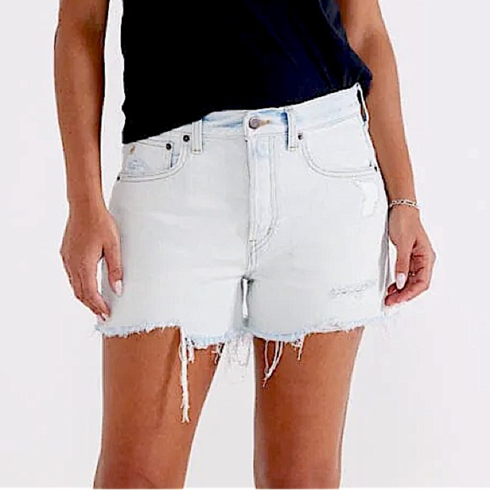 Etica Haven Relaxed Fit Denim Jean Shorts in Desert Island Light Blue Wash